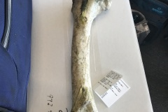 58597186365__D272EE7A-55B3-48FE-8625-BD22ADA3709C