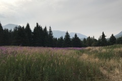 IMG_0597
