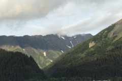 IMG_0684