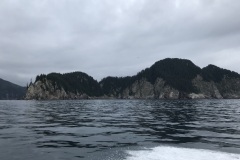 IMG_0699