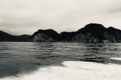 IMG_0701