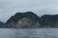 IMG_0703