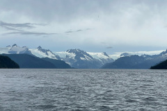 IMG_1252