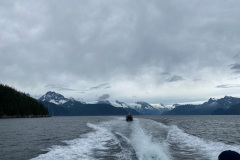 IMG_4019