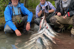 IMG_6817